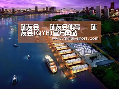 案例展示八