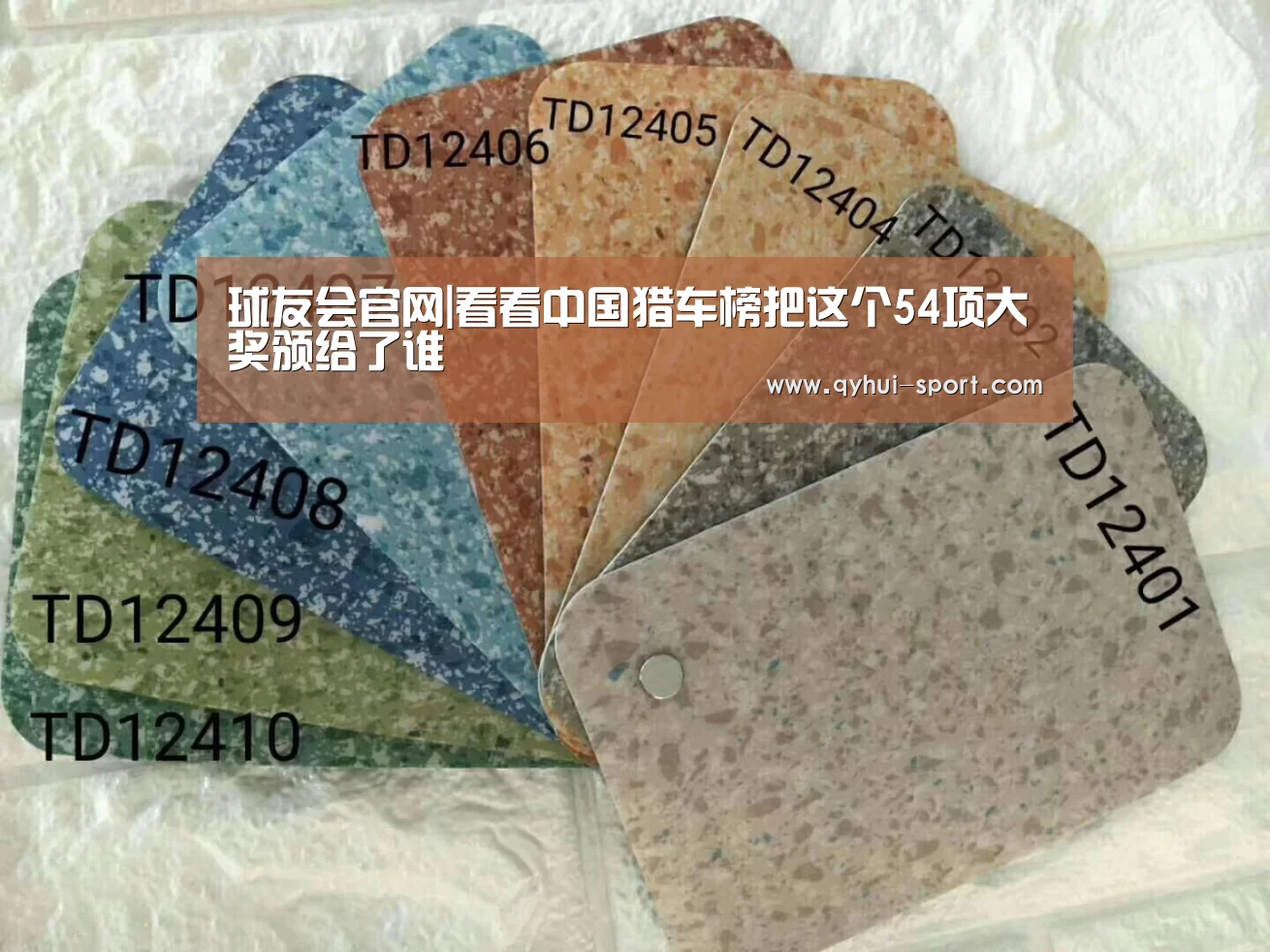 球友会官网|看看中国猎车榜把这个54项大奖颁给了谁(图1) 球友会官网