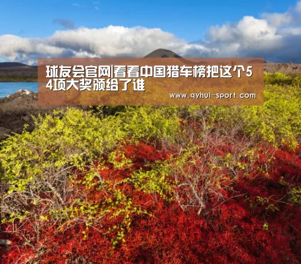 球友会官网|看看中国猎车榜把这个54项大奖颁给了谁(图3) 球友会官网