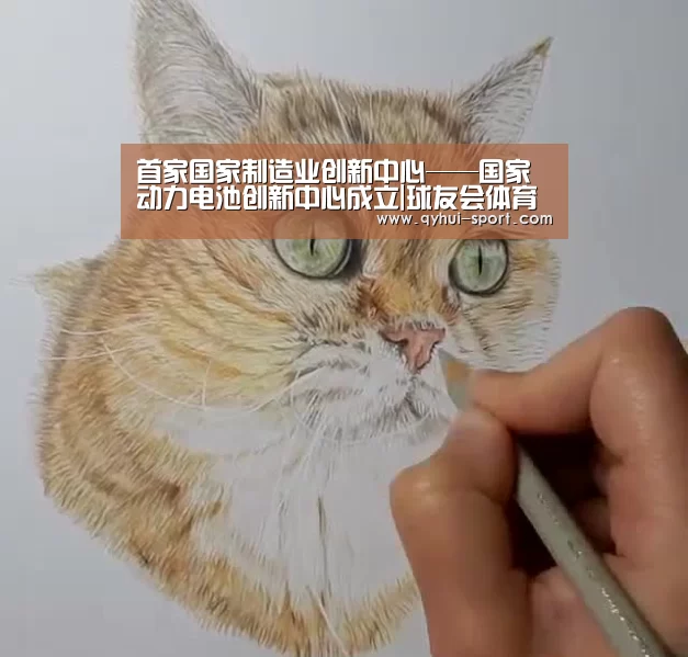 首家国家制造业创新中心——国家动力电池创新中心成立|球友会体育(图1) 球友会体育