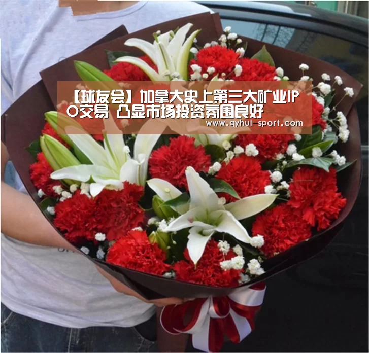 【球友会】加拿大史上第三大矿业IPO交易 凸显市场投资氛围良好(图2) 球友会官网
